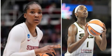 kiki Iriafen & 4 other WNBA players of Nigerian descent