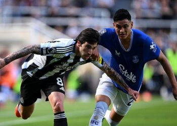 Newcastle survive Everton scare to secure last Champions League ticket