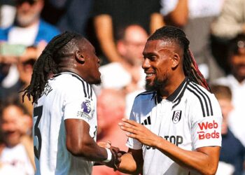 100 men v 1 Gorilla: Alex Iwobi, Bassey give verdict on winner