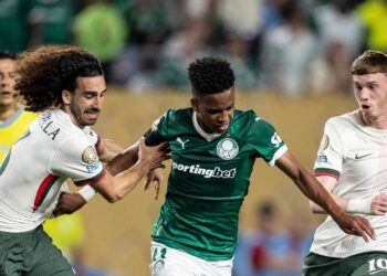 Palmer excited for Estêvão but hints language barrier in chat