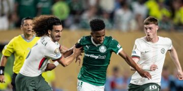 Palmer excited for Estêvão but hints language barrier in chat