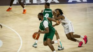 D'TIGERS