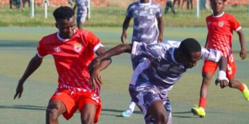 NPFL: Plateau United, Warri Wolves and Wikki Tourists shine
