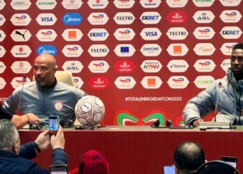 Ndidi tells NFF what to do with Eric Chelle after missing out on AFCON title