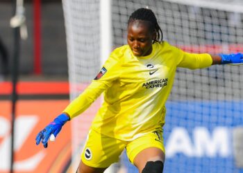 Nnadozie bags consecutive clean sheets as Brighton edge Leicester City