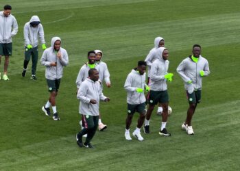 Super Eagles goalkeeper ruled out of Jordan clash