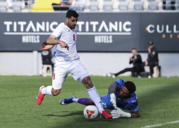 Maduka Okoye to undergo medical checks following injury with Super Eagles