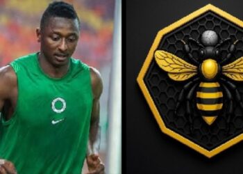 Umar Sadiq’s Ranchers Bees secures NPFL promotion