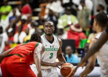 D'TIGERS