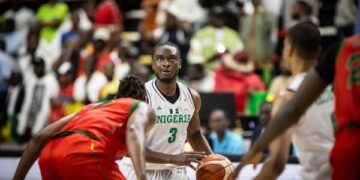 D'TIGERS