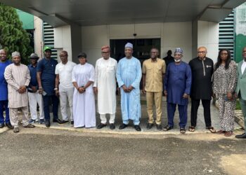Fact-Finding Panel Clears Players, Points Finger at NFF Officials Over Super Falcons’ World Cup Exit