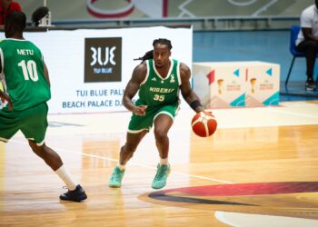 D'Tigers