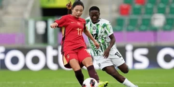 Falconets