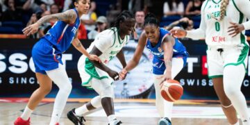 D'Tigress