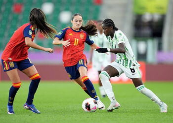 Falconets