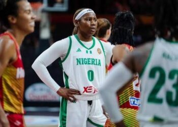 d'tigress