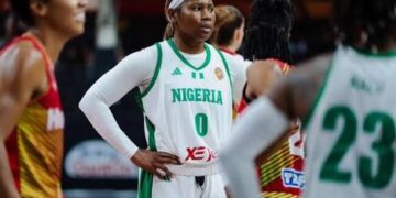 d'tigress