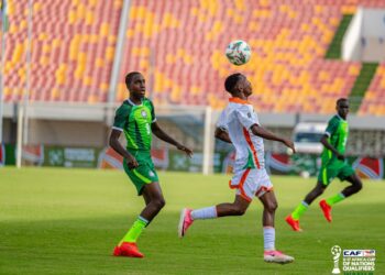Golden Eaglets