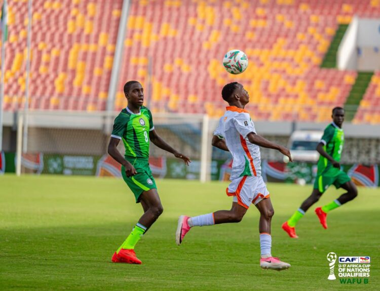 Golden Eaglets