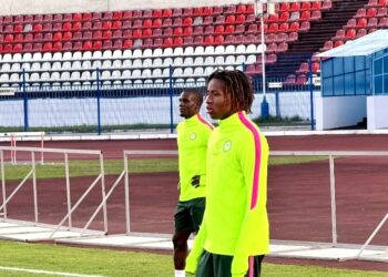 Super Eagles