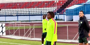 Super Eagles